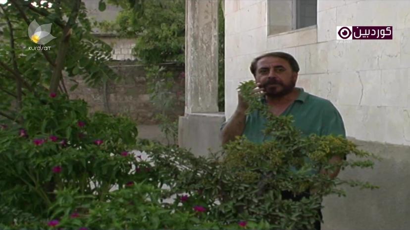 خەمی چۆلەکەکان-٣